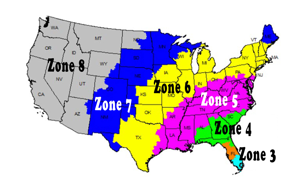 fedex zone chart map