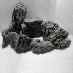 aquascape-Seiryu-stone-wattley-discus