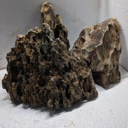 aquascaping-dragon-stone-orig-wattley-discus