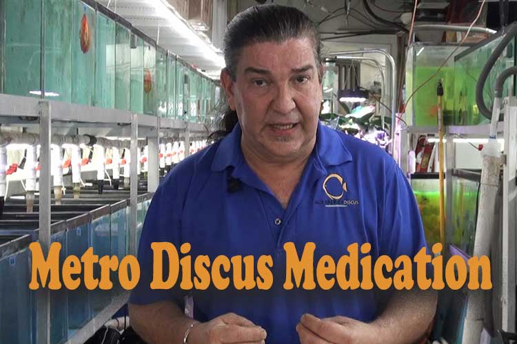 Metro Discus Medication (metronidazole)