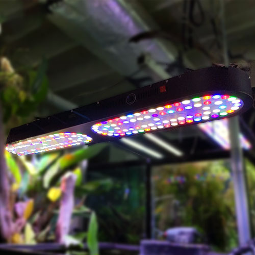 45-Inch-LED-System-For-Planted-Tank-wattley-discus