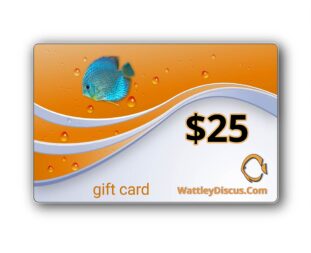 25-dollar-gift-card-wattley-discus