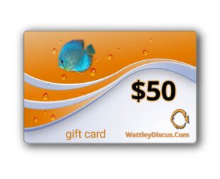 50-dollar-gift-card-wattley-discus
