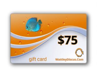 75-dollar-gift-card-wattley-discus
