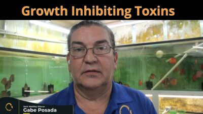 growth-inhibiting-toxins-wattley-discus